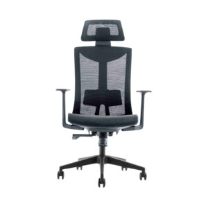 Essentia Aeronomic